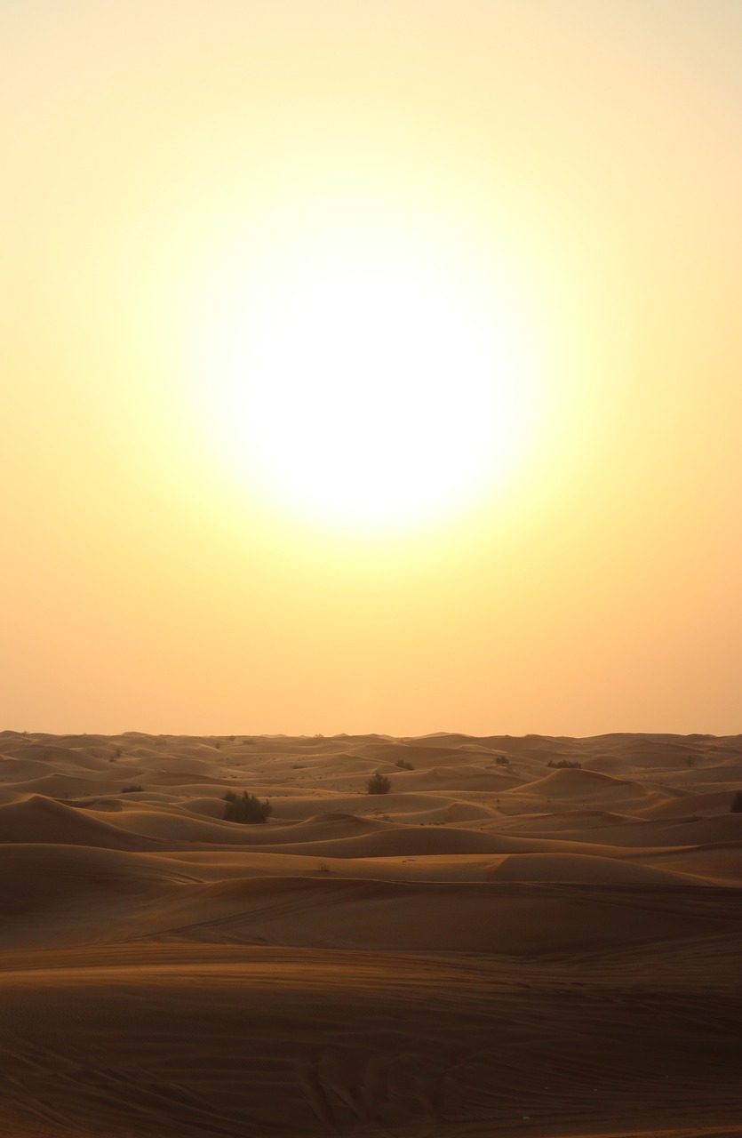 desert landscape sunset desert free photo