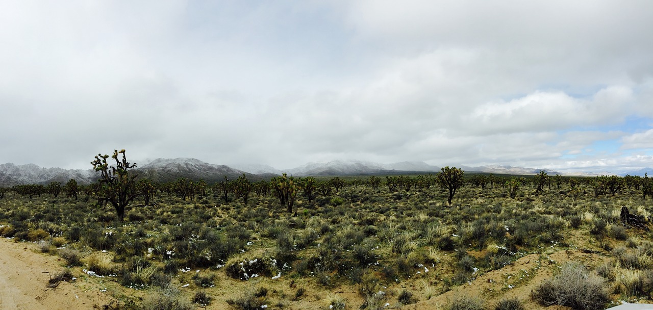 desert landscape mountains desert free photo