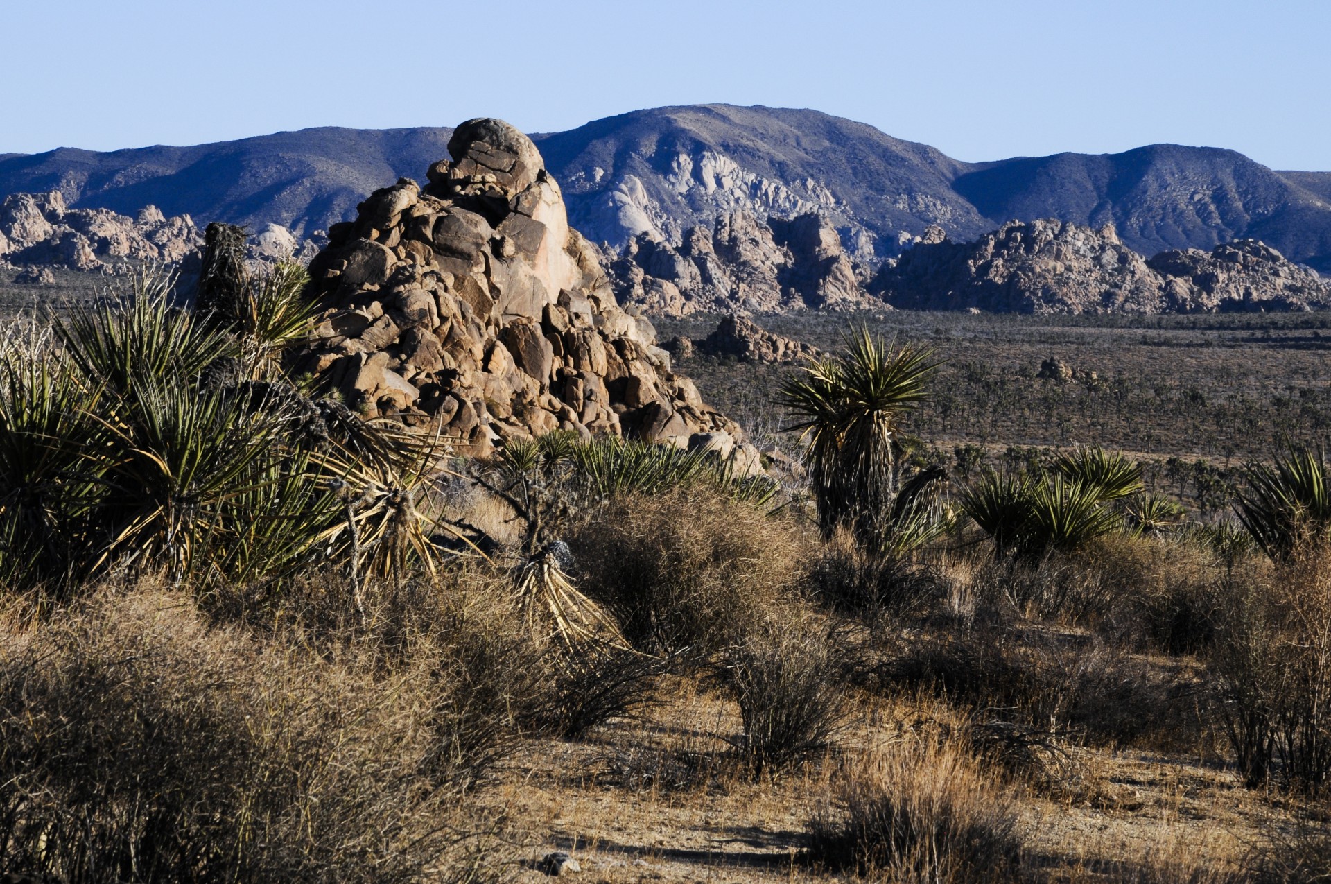 desert landscape desert landscape free photo