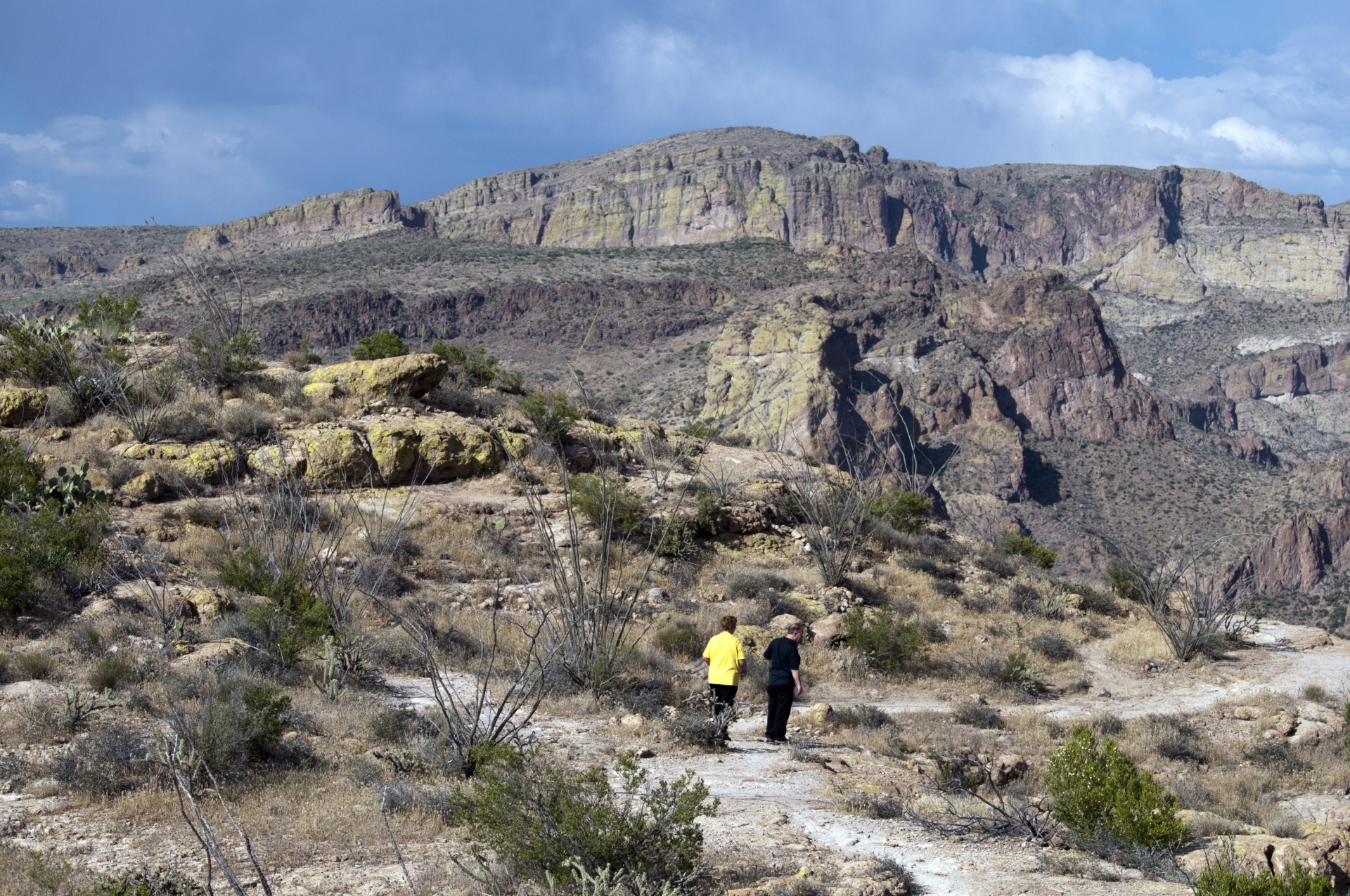 landscape desert arizona free photo