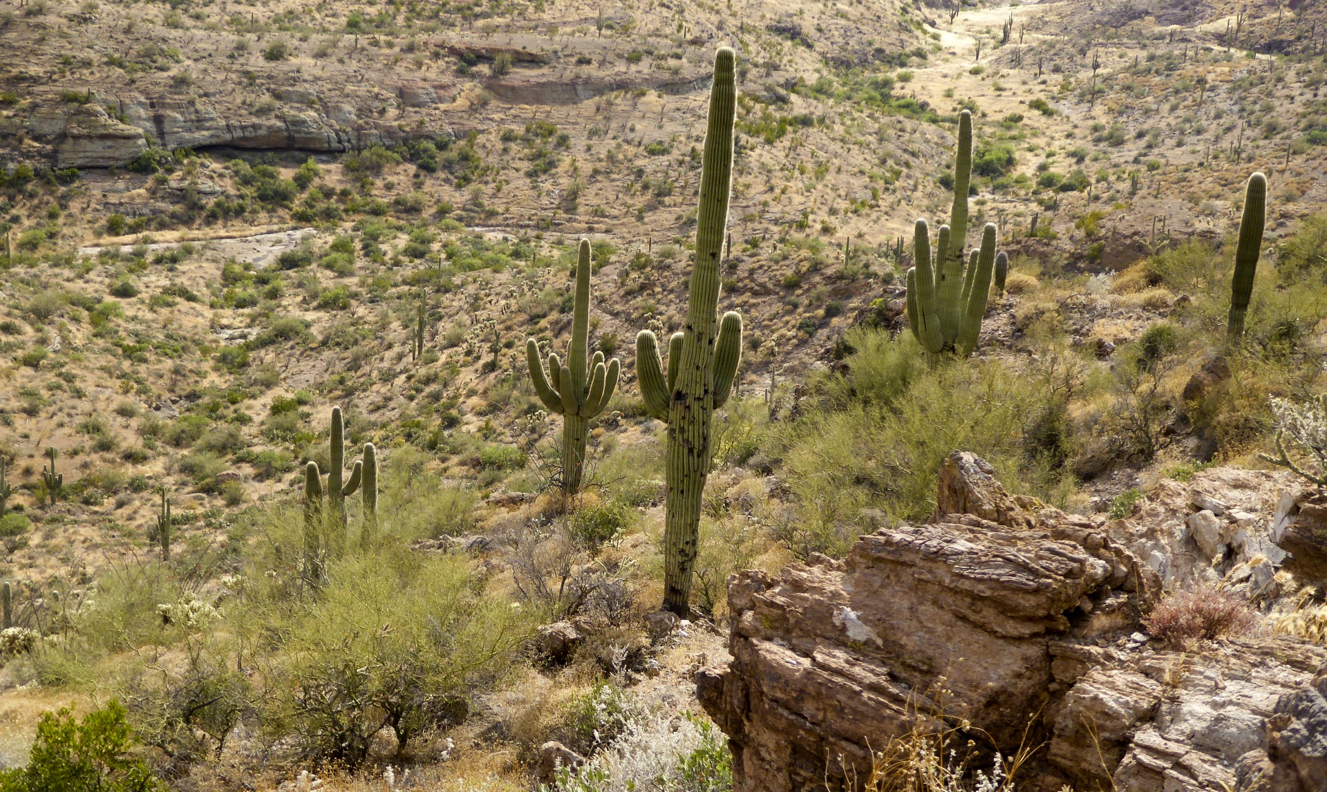 landscape desert arizona free photo