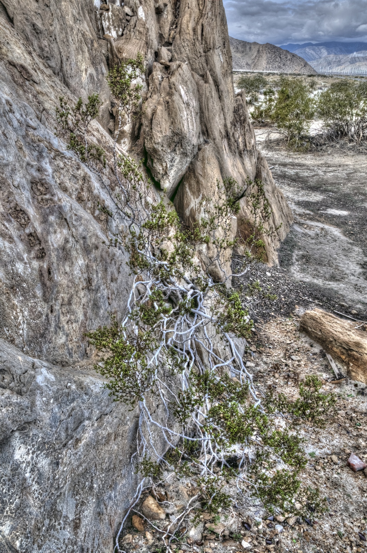 desert california landscape free photo