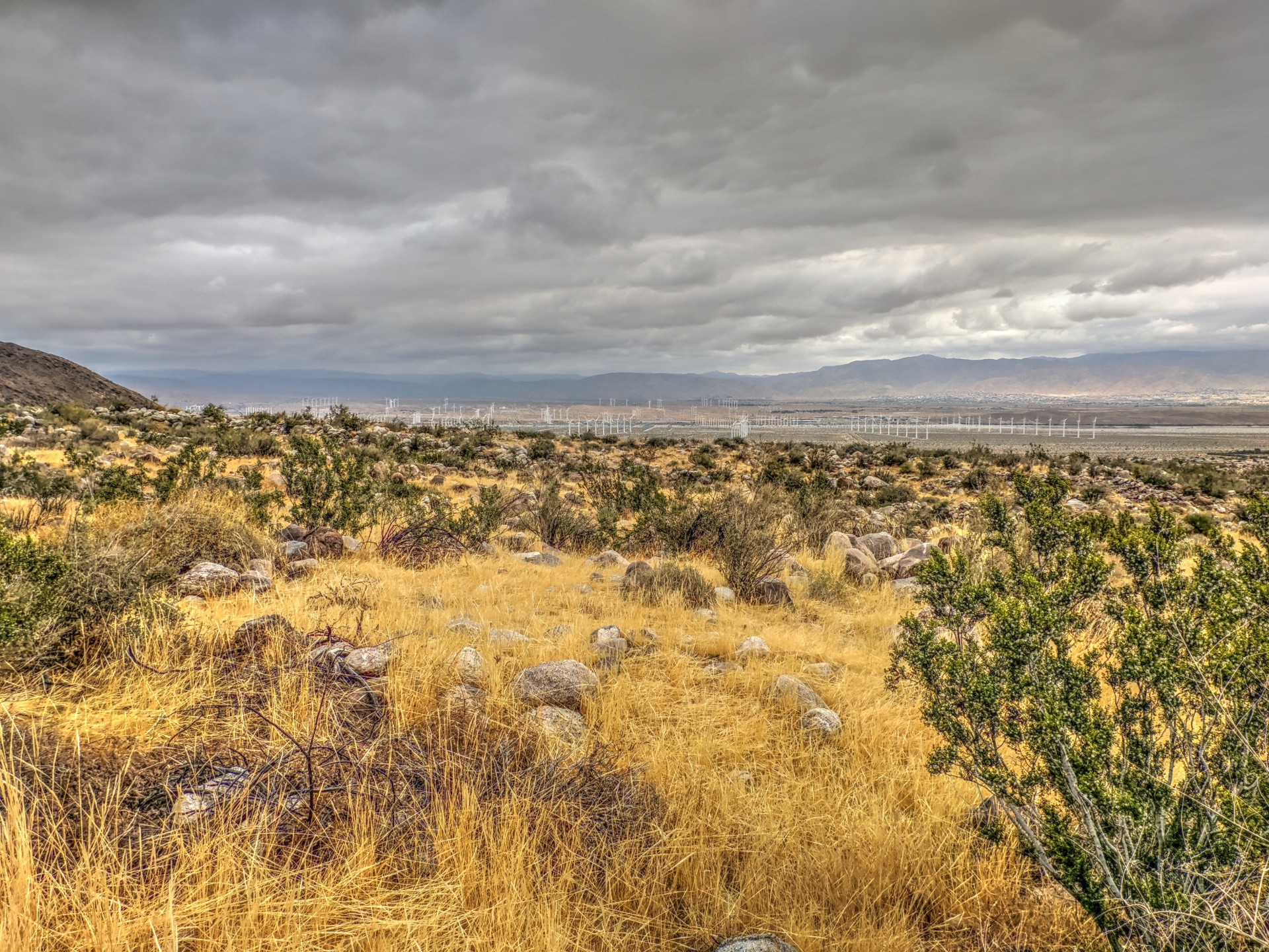 desert palm springs california free photo