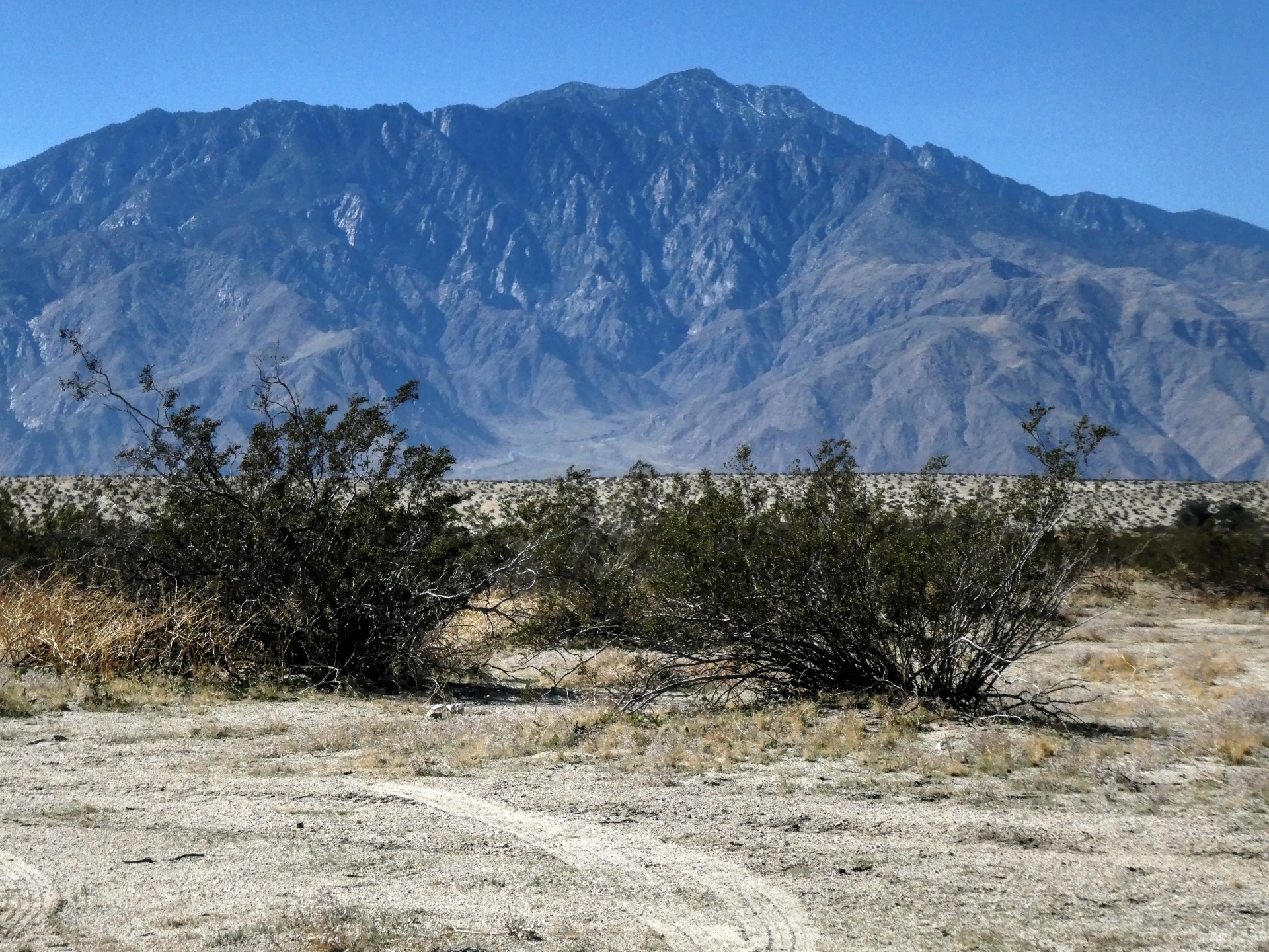 desert deserts california desert free photo