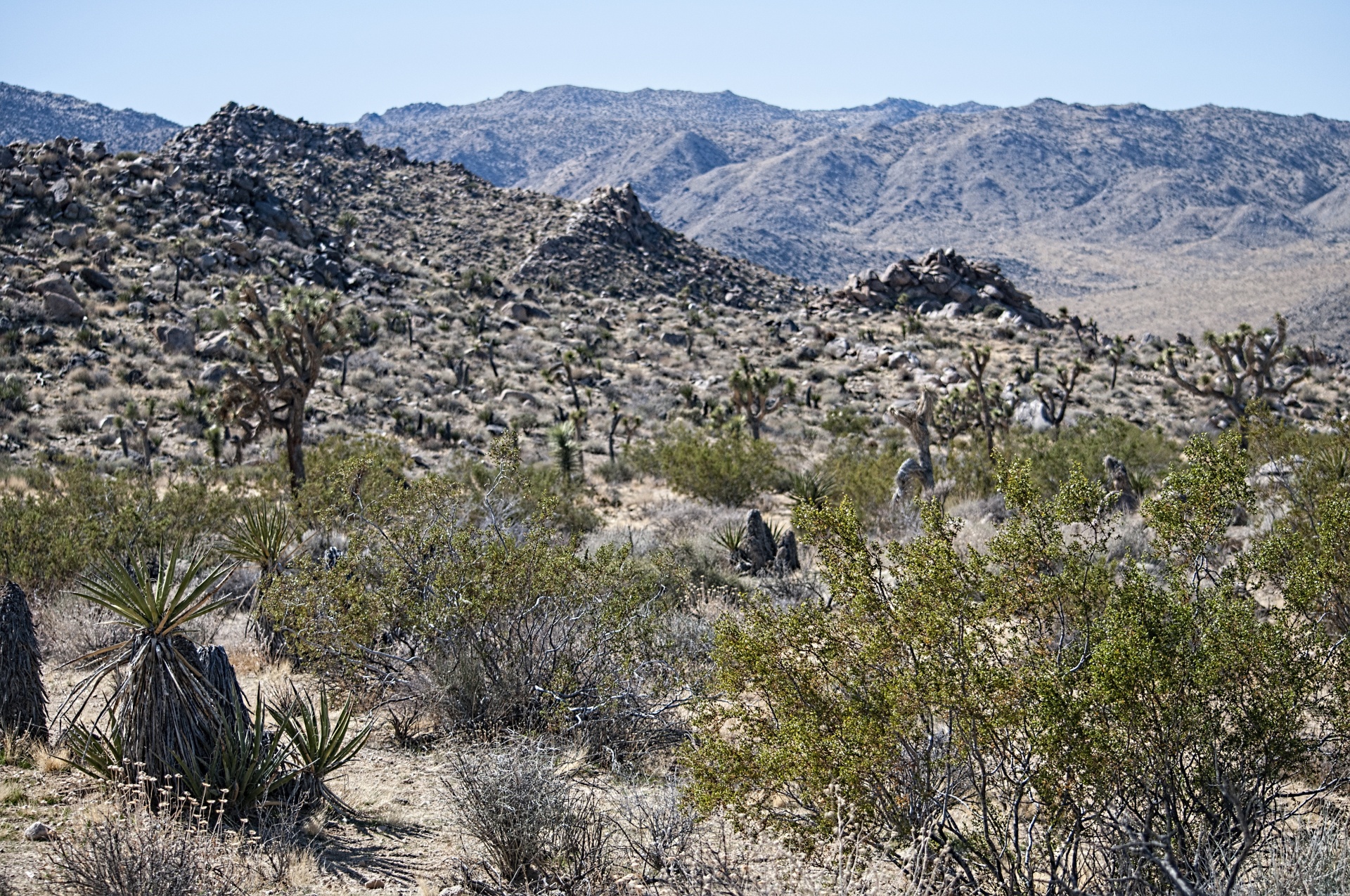 desert deserts desert landscape free photo