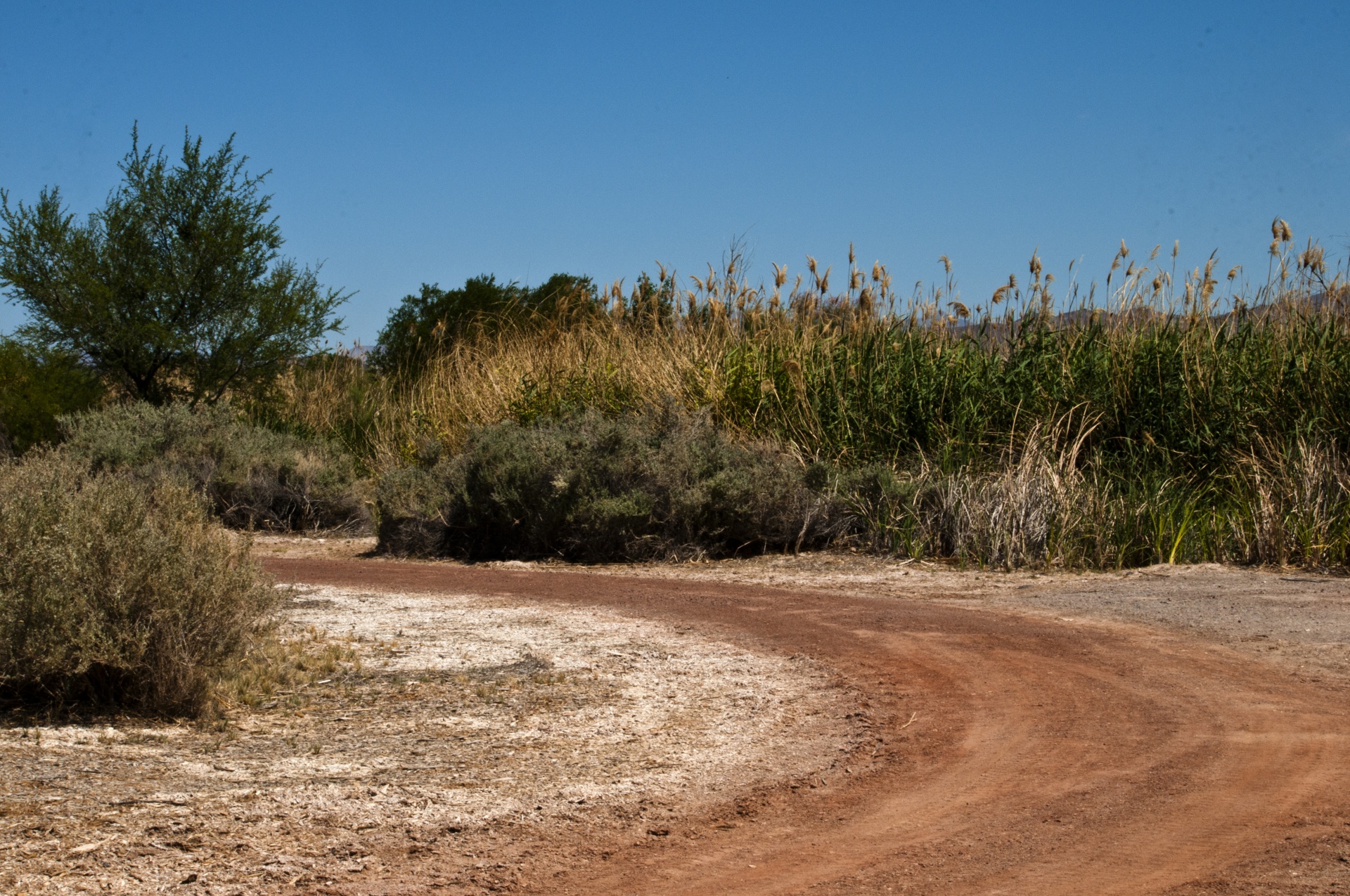 Path,road,dirt,red dirt,desert - free image from needpix.com