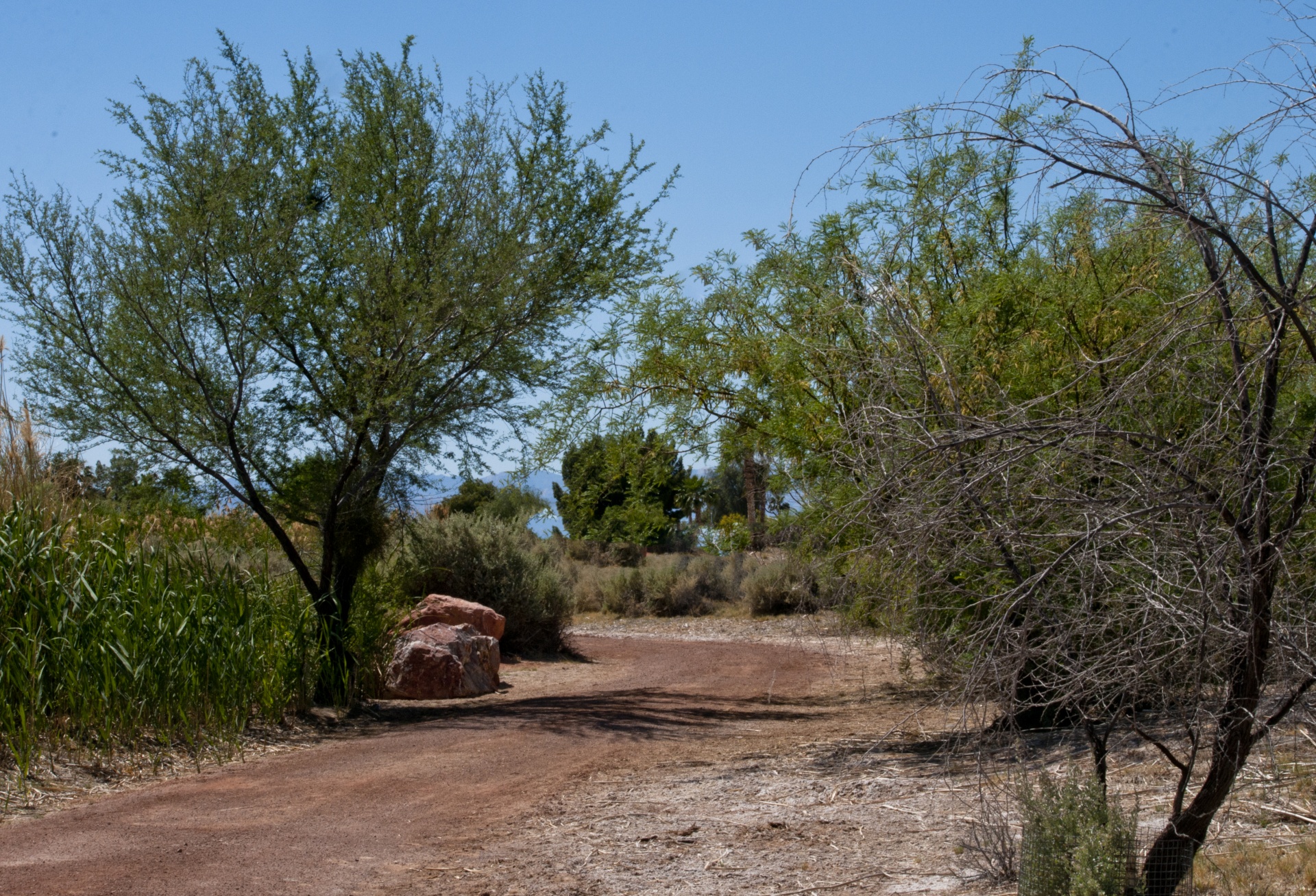 path red soil arizona free photo