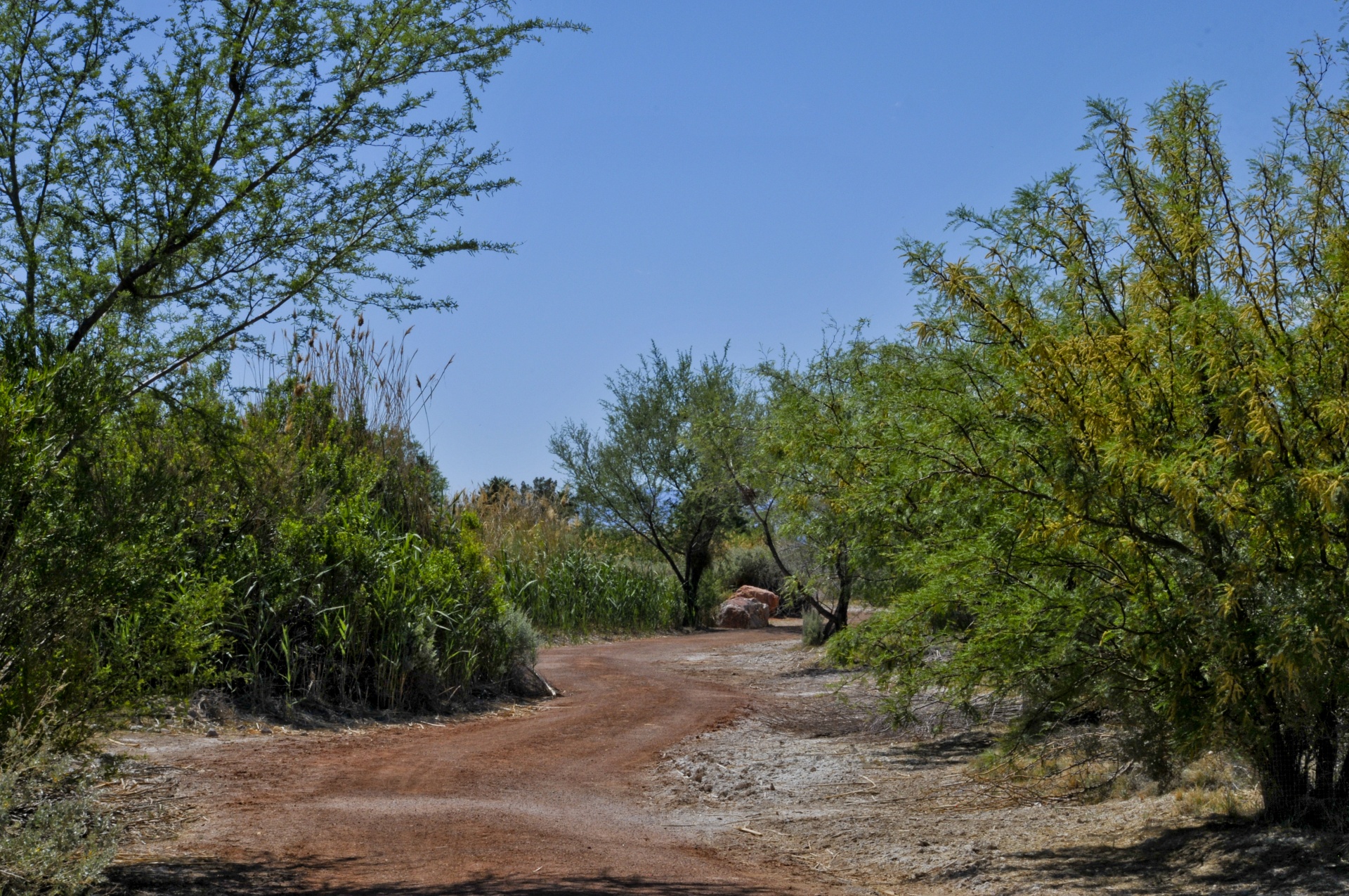 path red soil arizona free photo