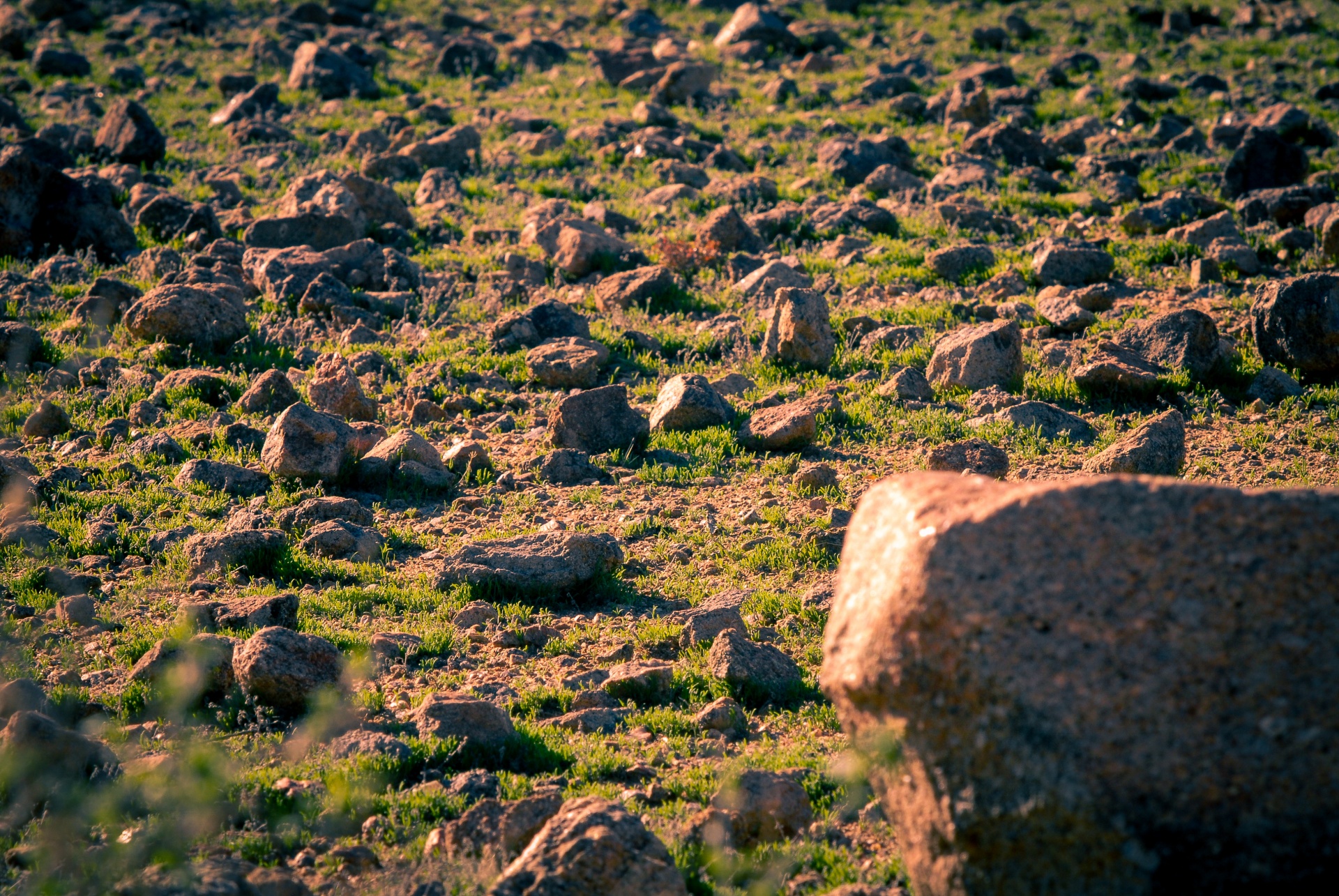 rocks desert landscape free photo