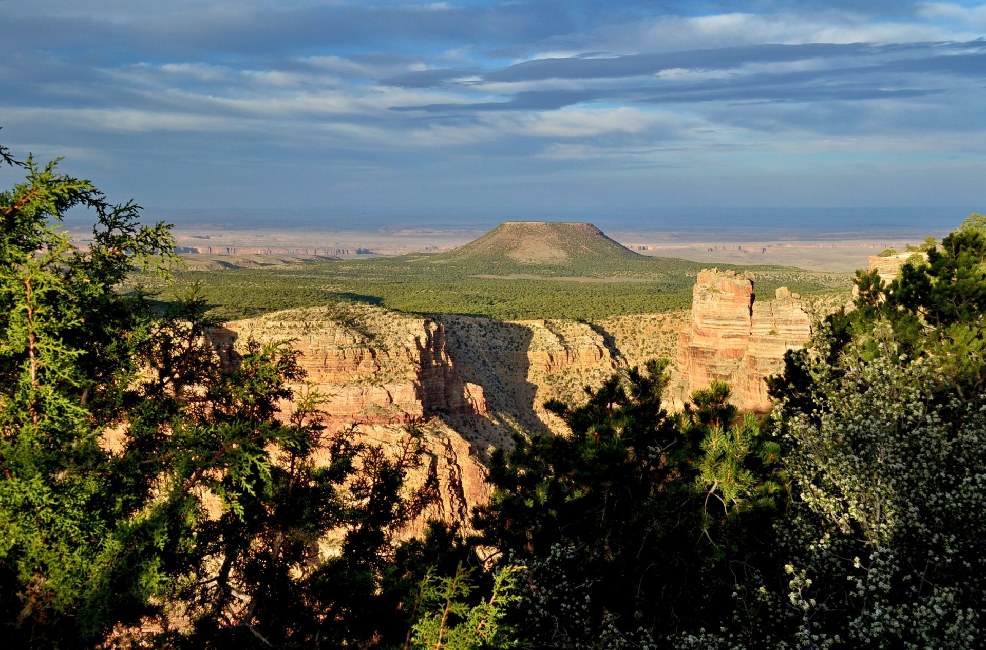 grand canyon desert view grand canyon national park national parks free photo