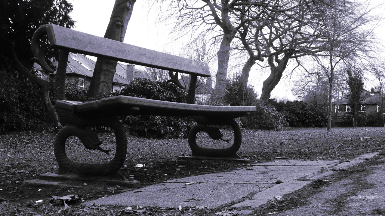deserted bench deserted bench free photo