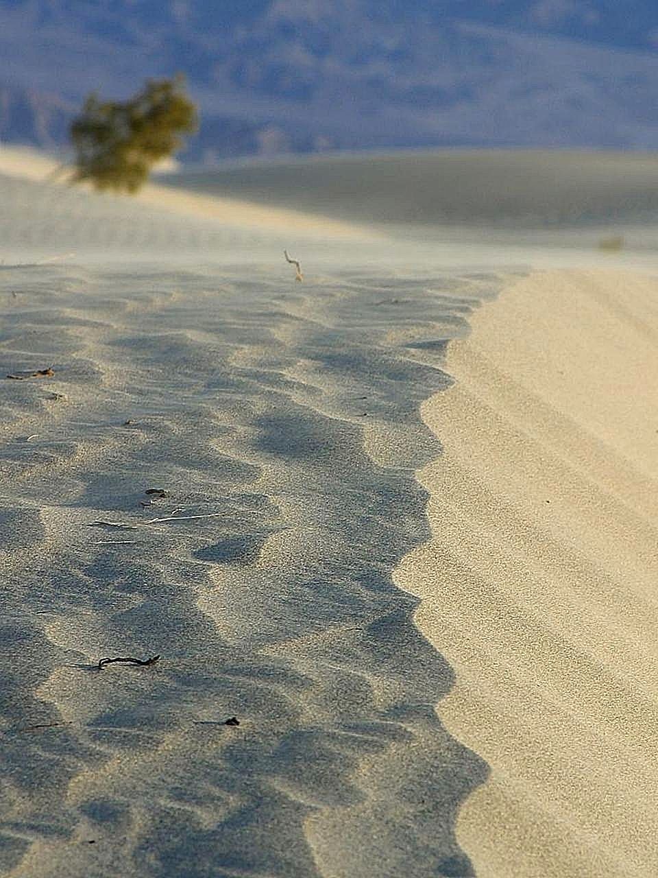 deserts dunes sand free photo