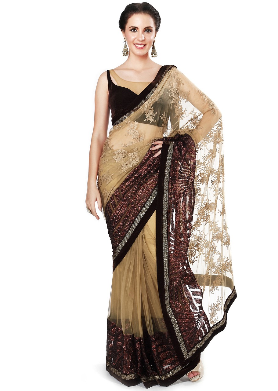 designer saree shopping indian style free photo