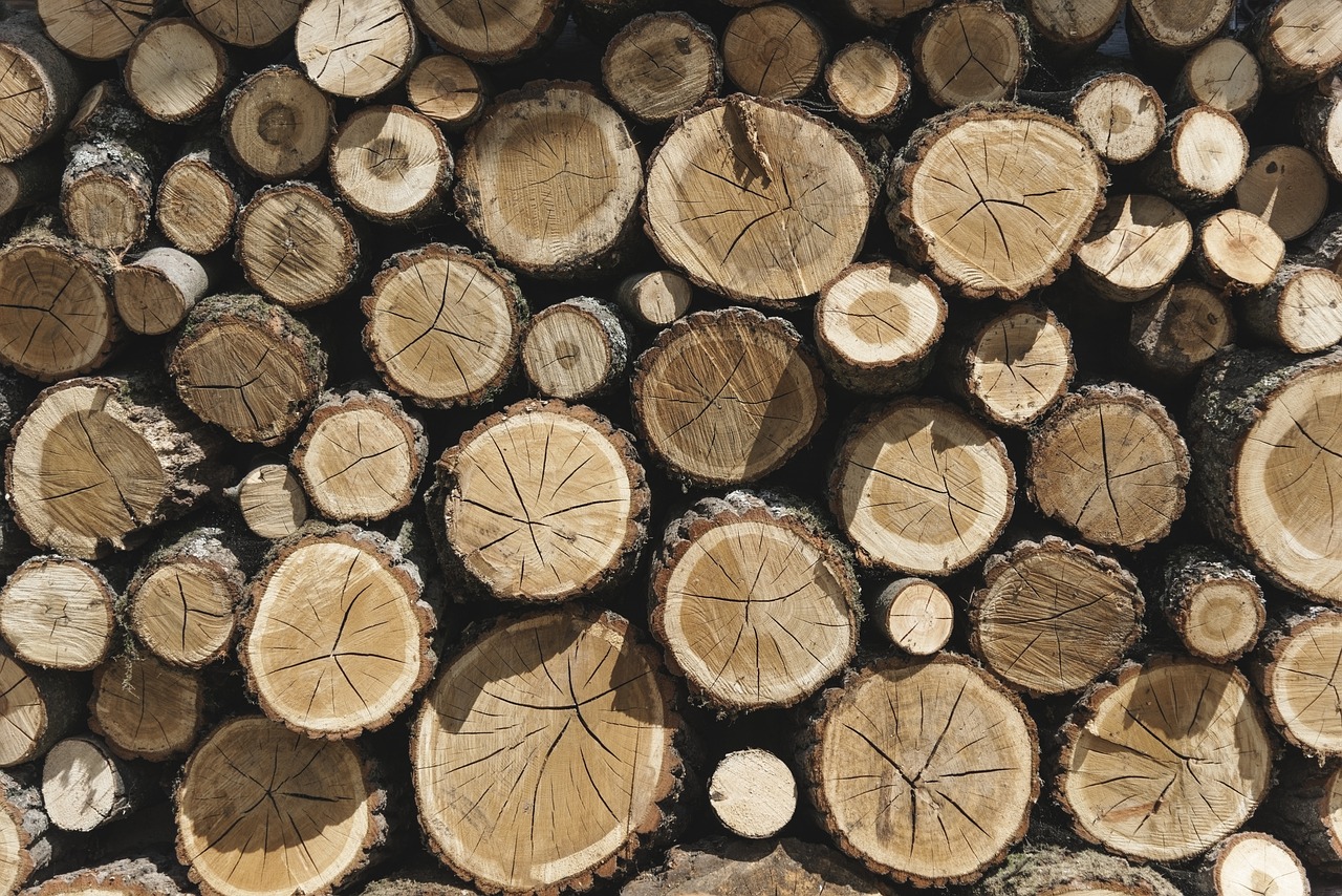 desktop firewood tree log free photo