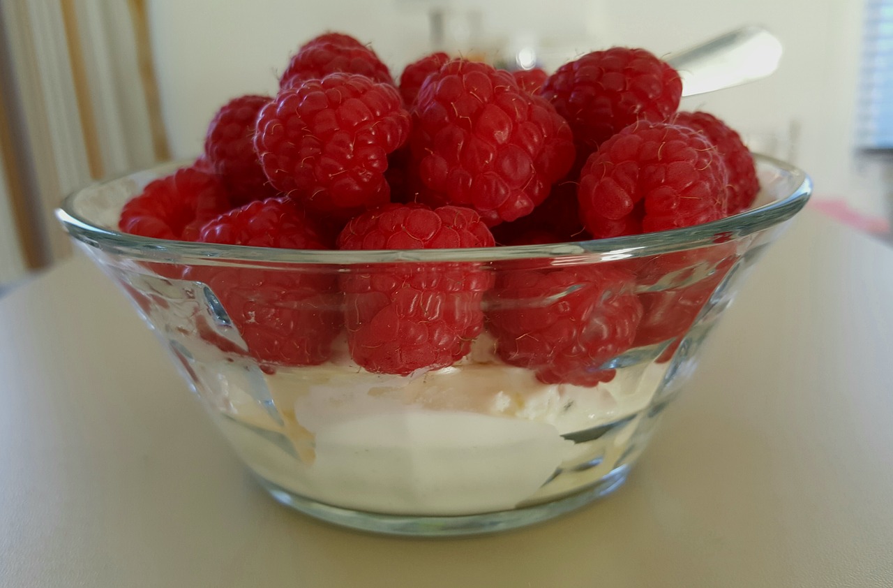 dessert raspberry cream free photo