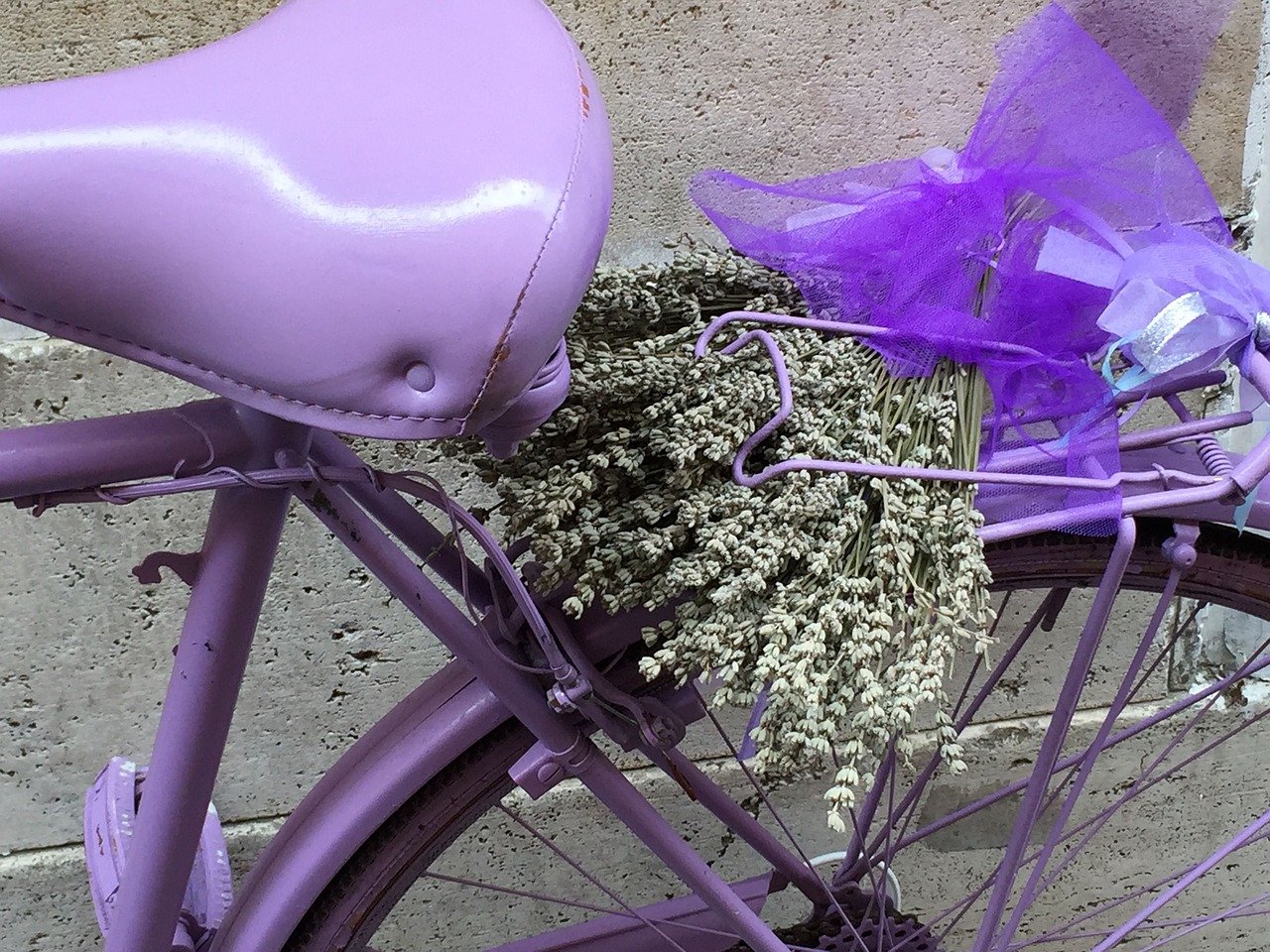 detail bicycle purple free photo