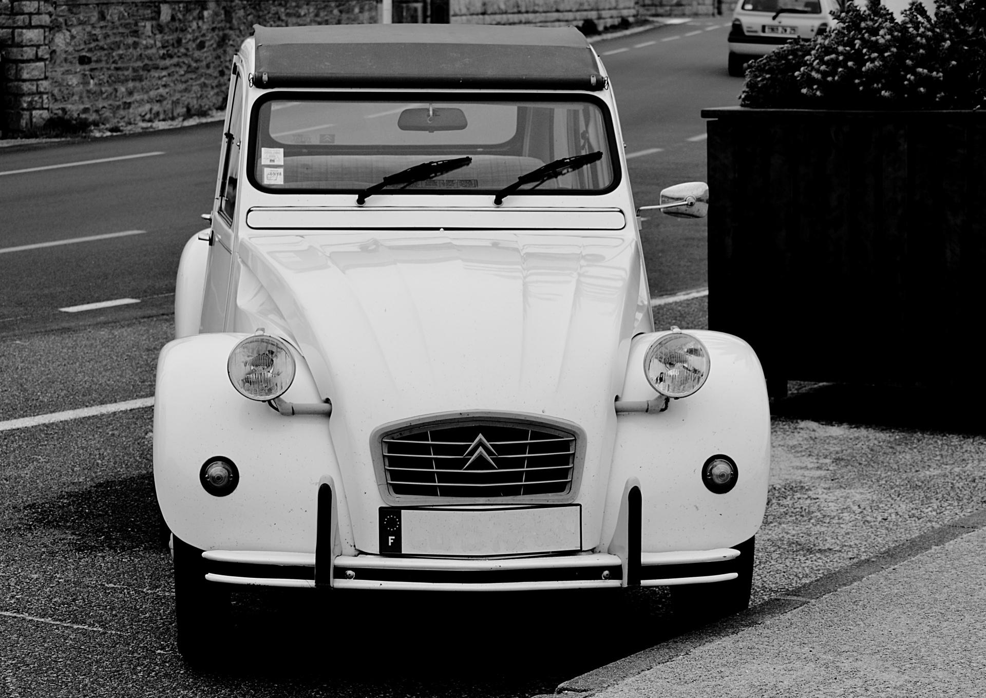 car two horses black white free photo