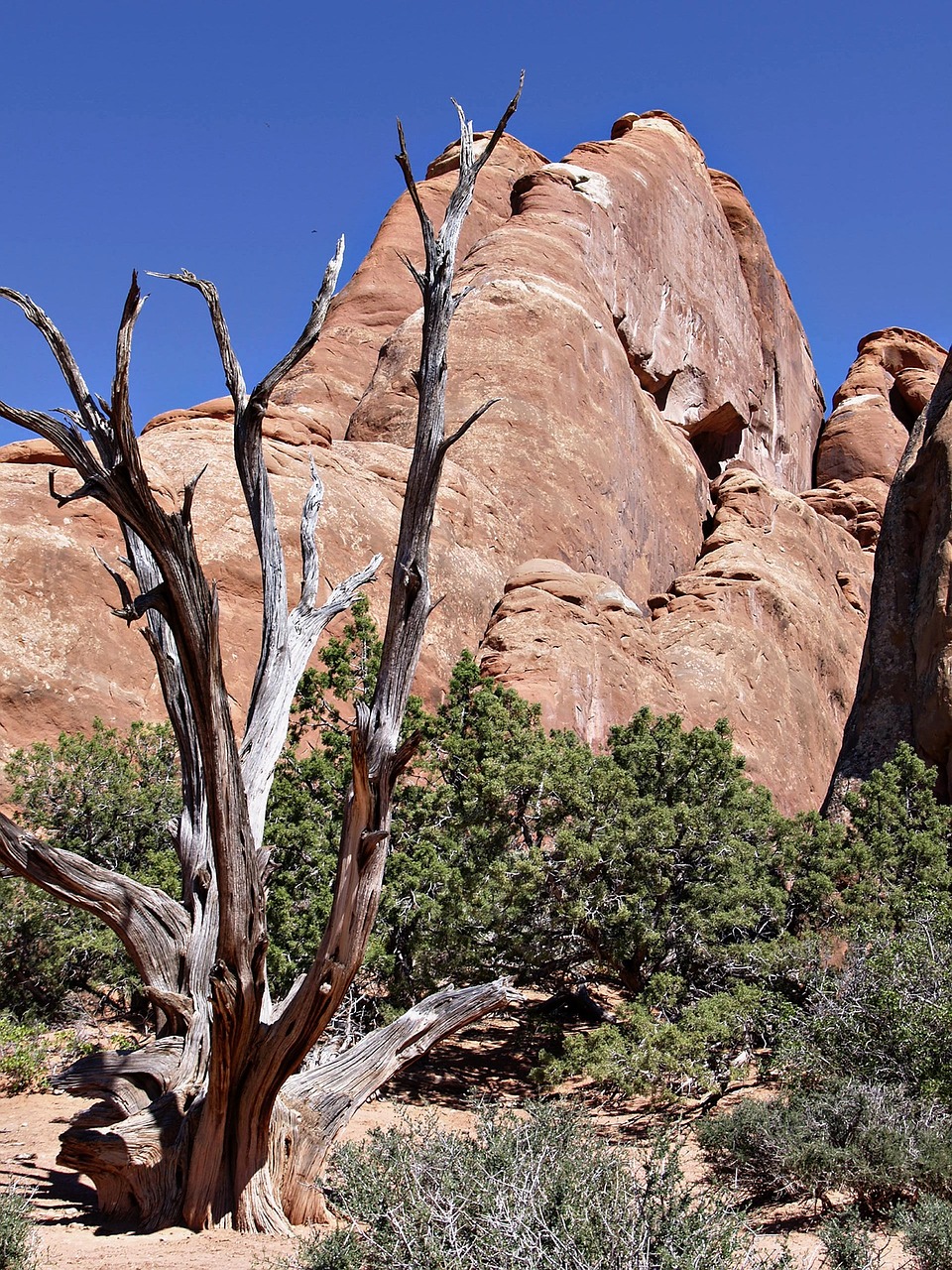 devil's garden,arches nationa park,utah,usa,erosion,tourist attraction,red,rocks,landscape,nature,free pictures, free photos, free images, royalty free, free illustrations, public domain