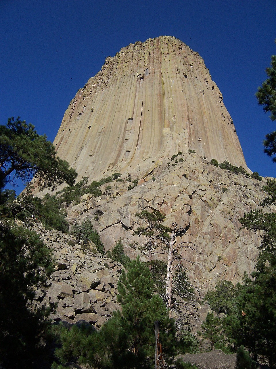 devils tower national monument wyoming free photo