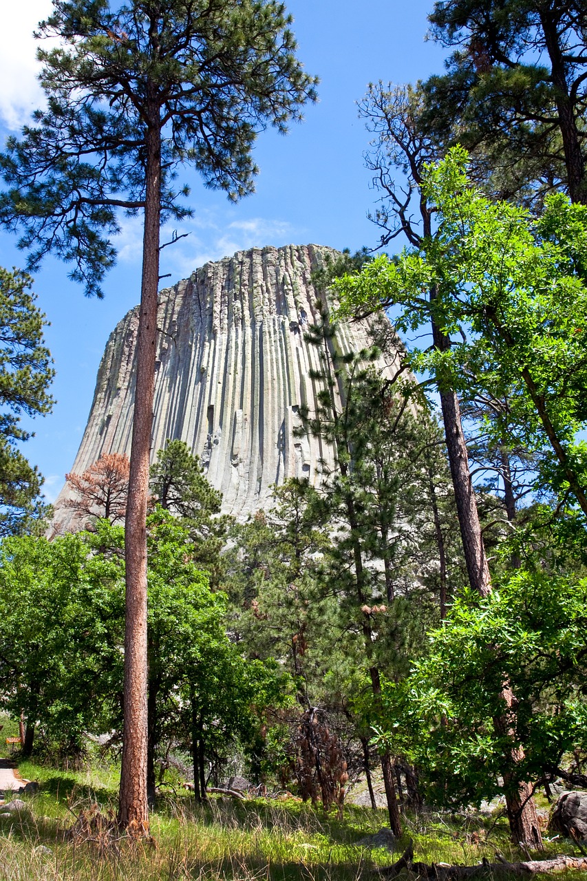 devils tower wyoming monument free photo