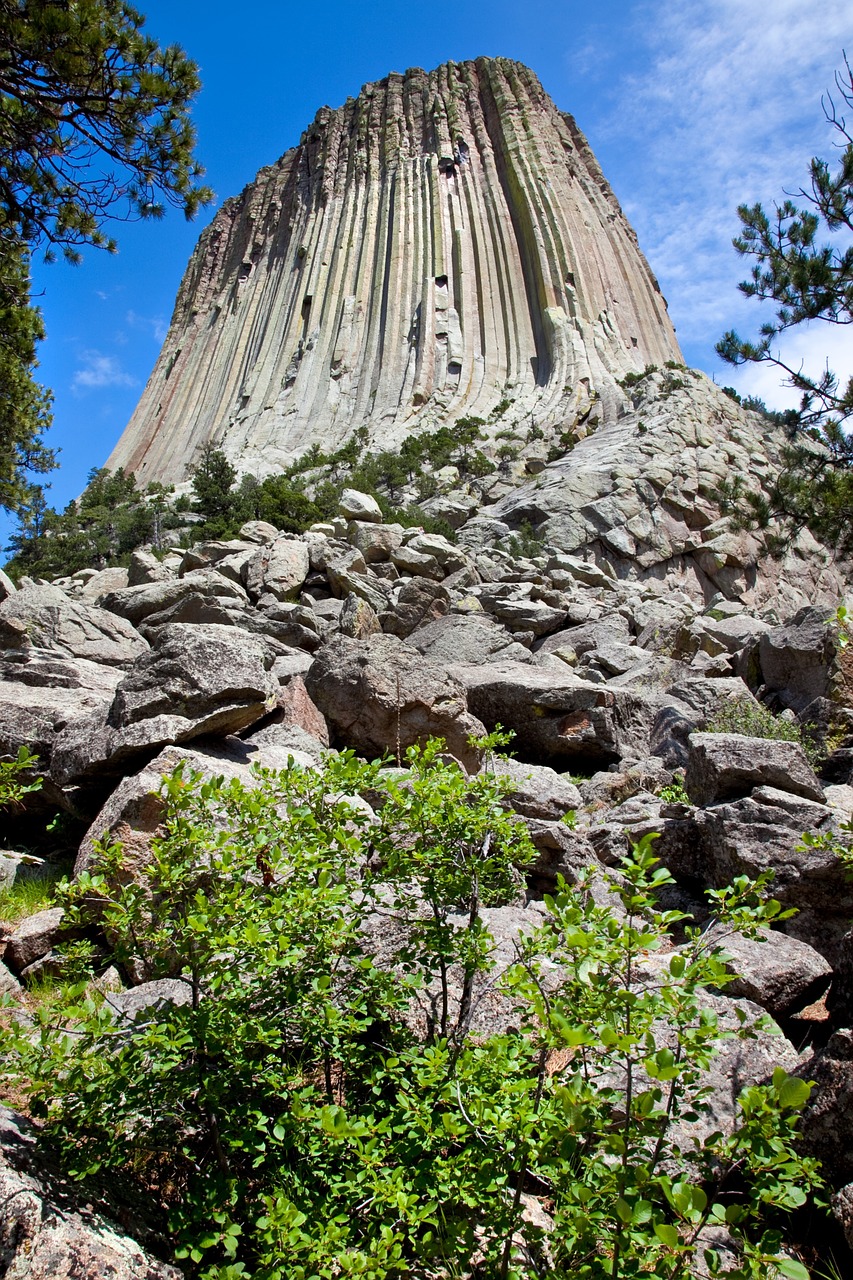devils tower wyoming national free photo