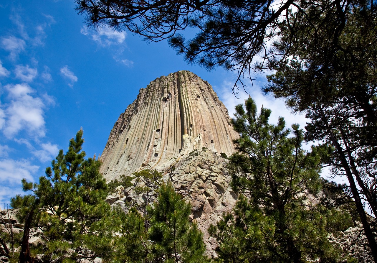 devils tower trees wyoming free photo