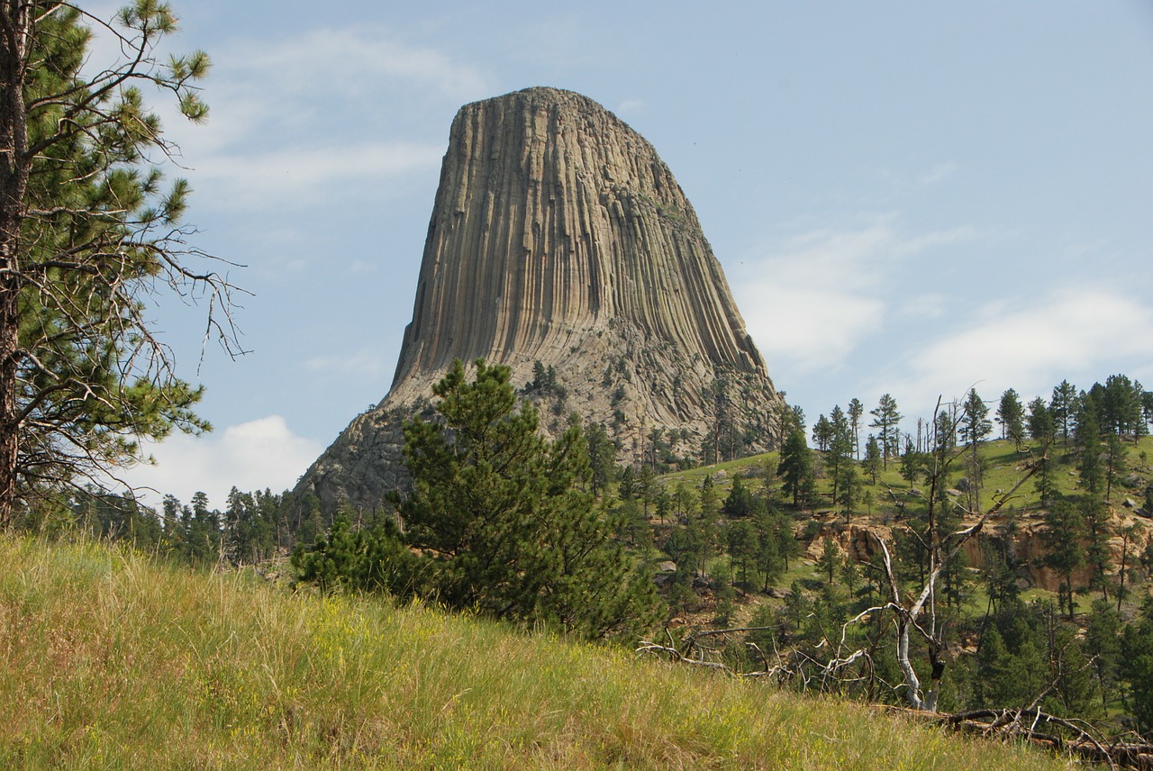 devil's tower national monument devil's tower wyoming free photo