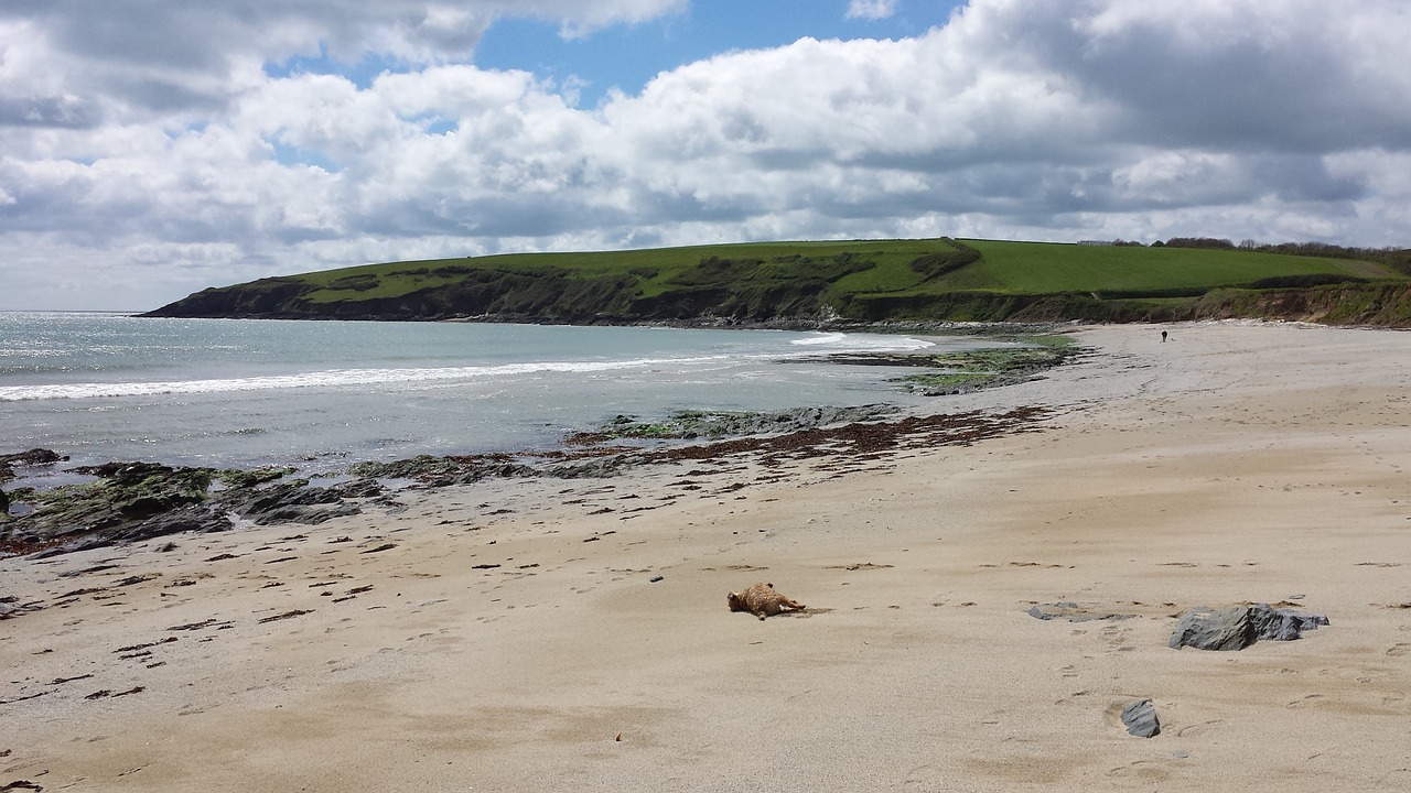 devon beach coast free photo