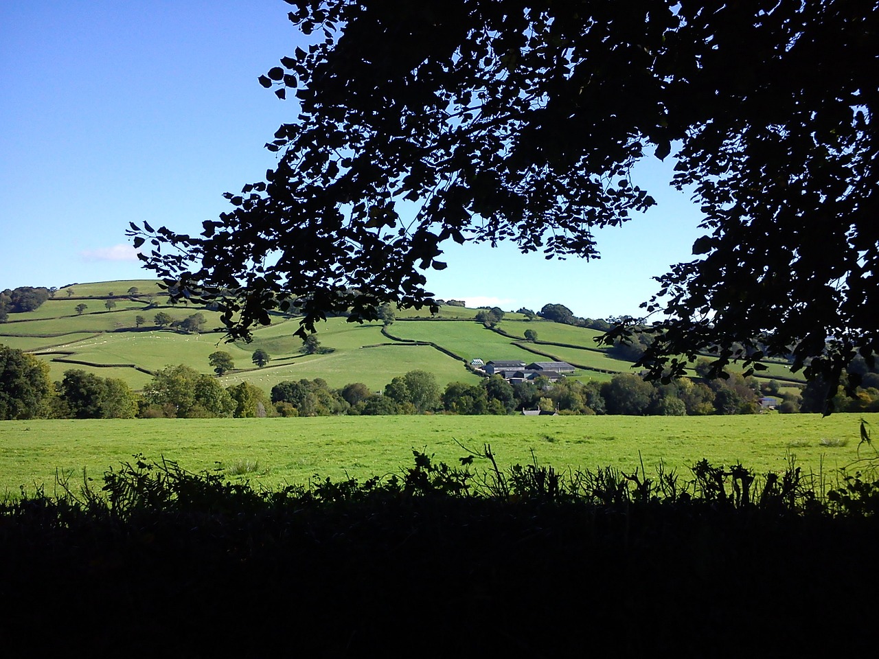 devon country side countryside free photo