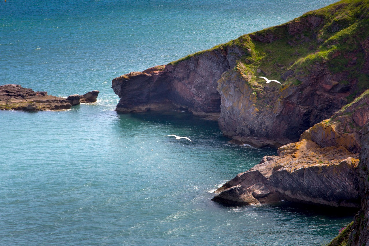 devon torbay brixham free photo