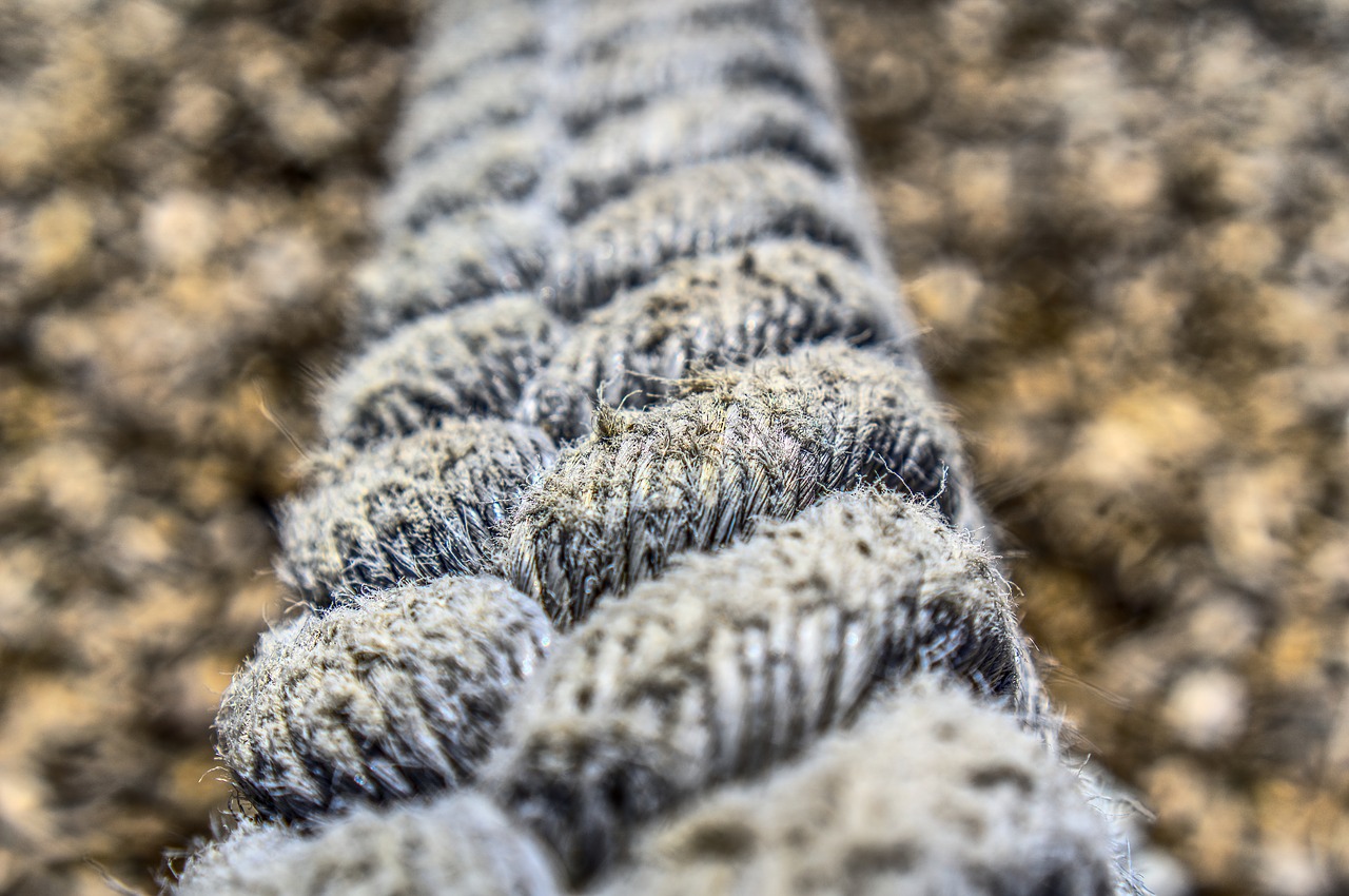 dew  rope  woven free photo