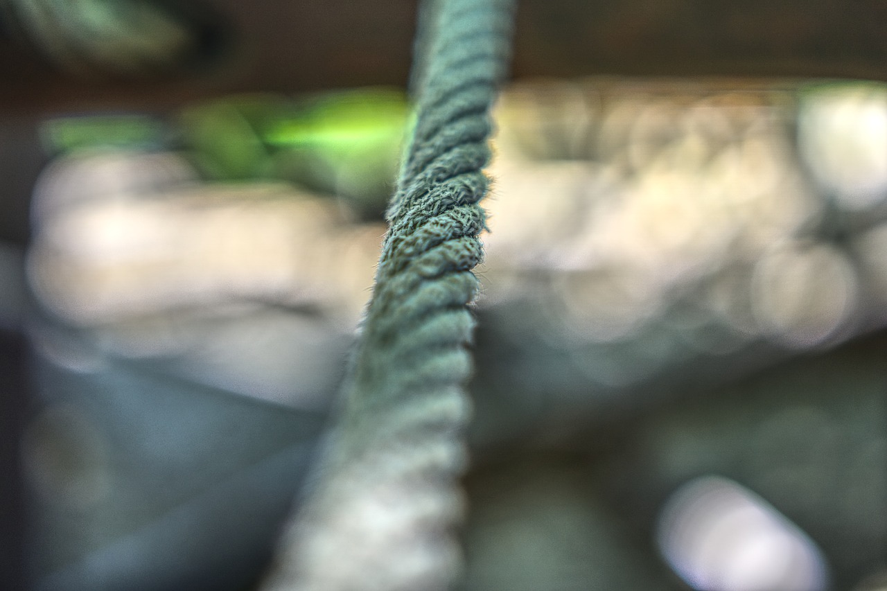 dew  rope  woven free photo