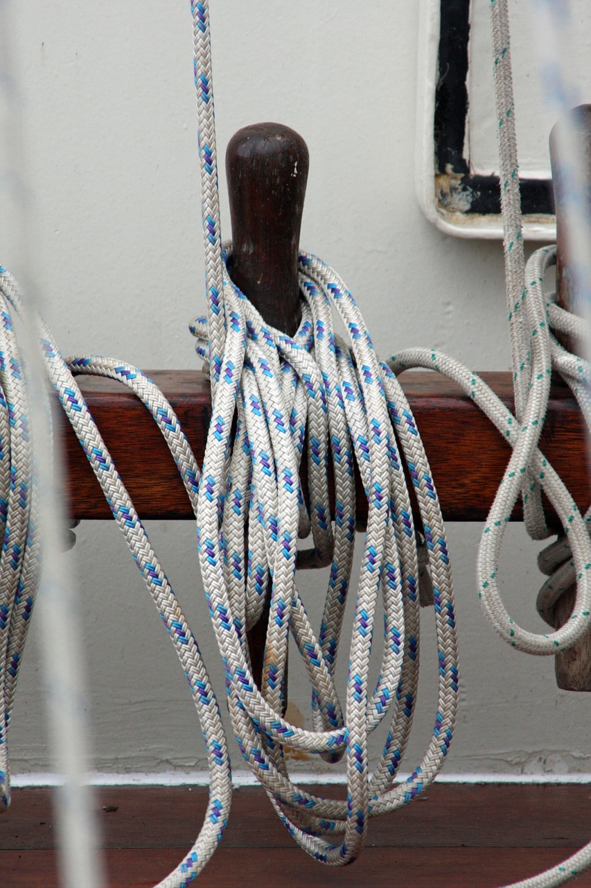dew rope blue free photo