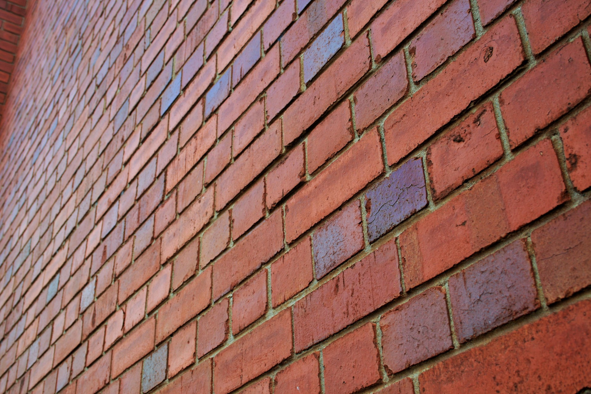 wall bricks red free photo