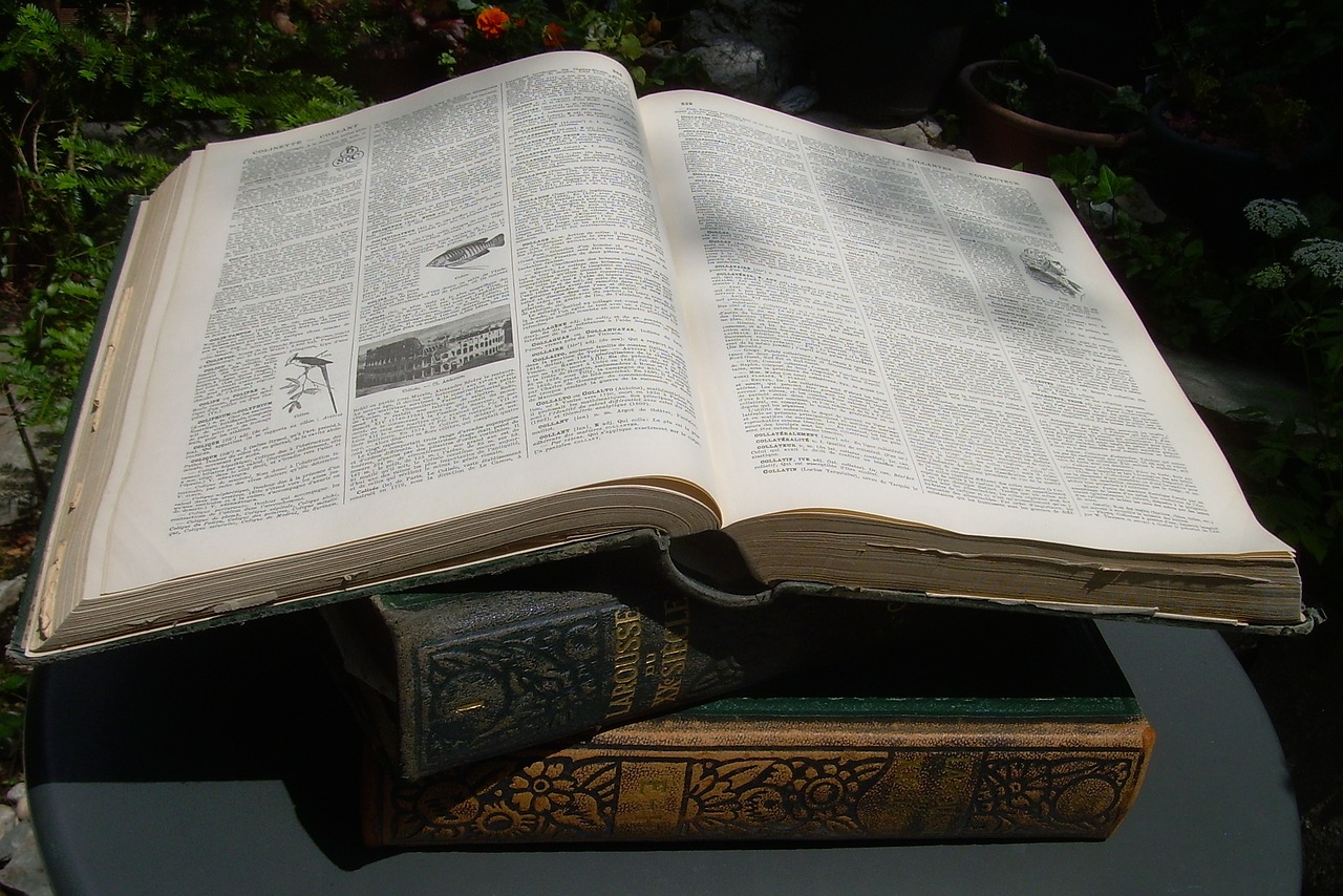 dictionary 20th century larousse free photo