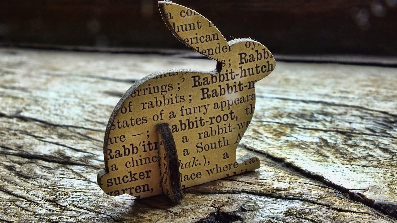 dictionary  rabbit  words free photo