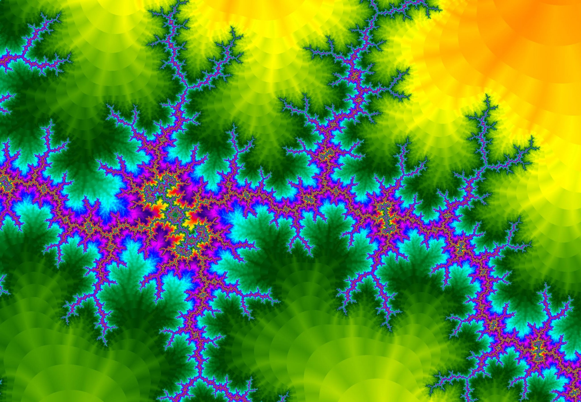 astronira digital fractal  fractal forge free photo