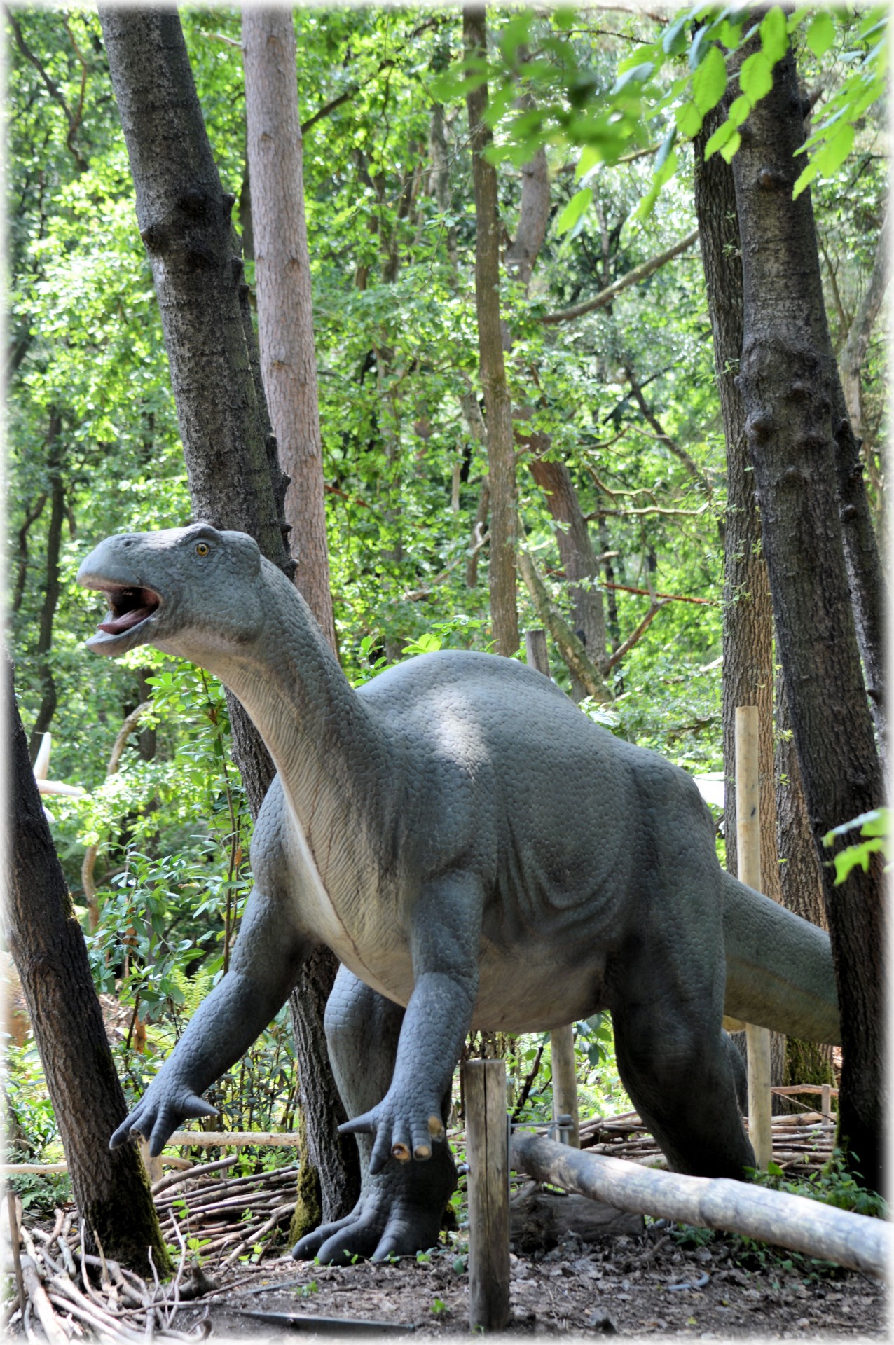 dinosaurs prehistoric animal free photo