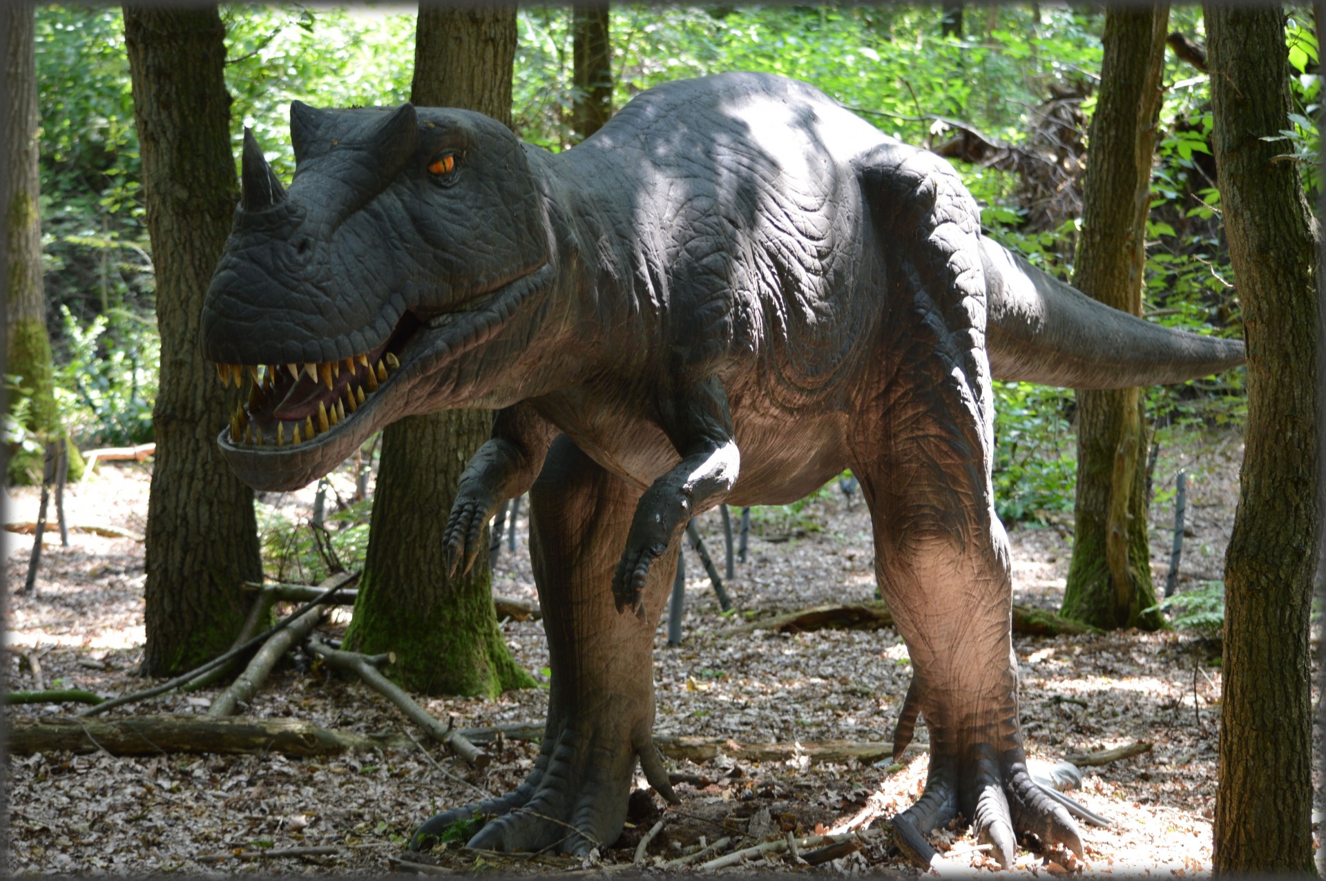 dinosaurs prehistoric animal free photo