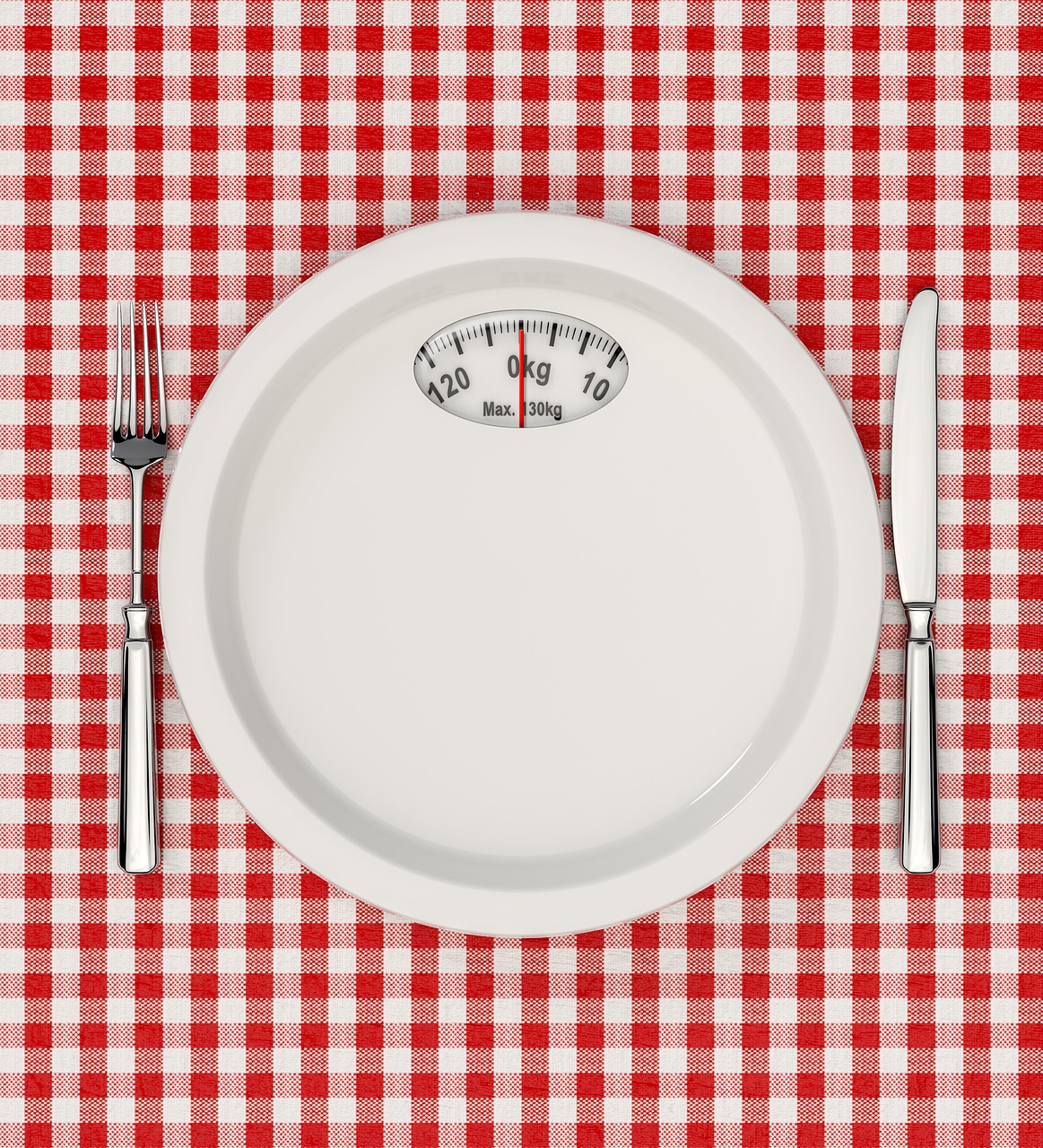 diet  plate  food free photo