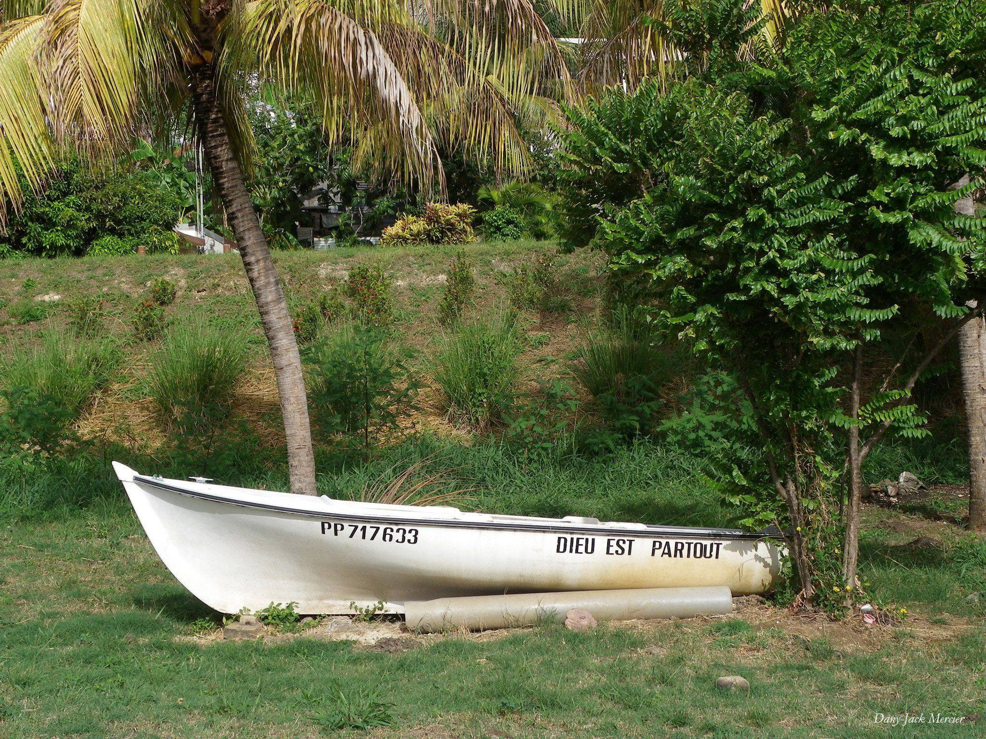 boat sea beach free photo