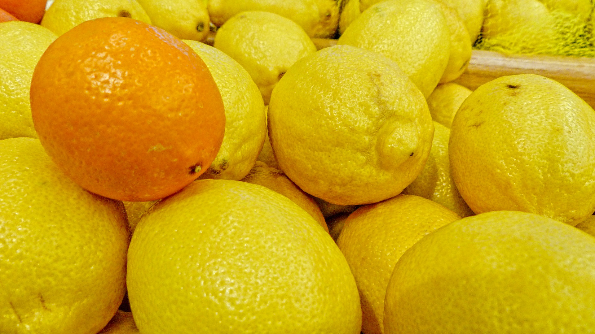 orange yellow lemon free photo
