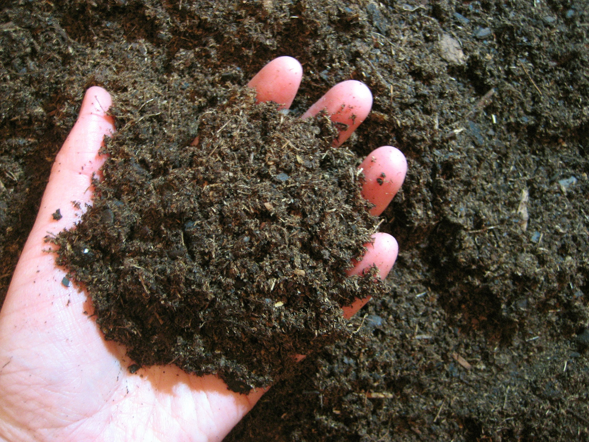 dirt soil earth free photo