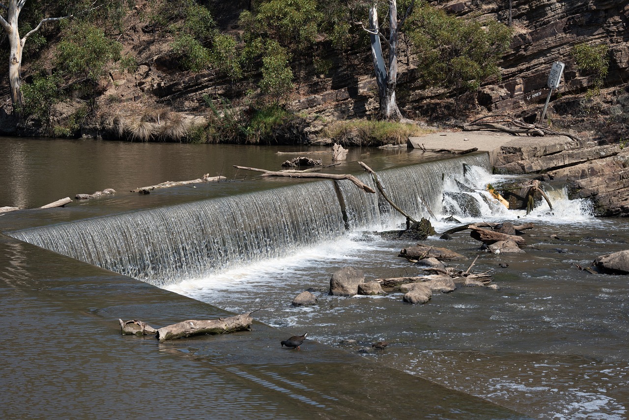 dights falls  melbourne  waterfall free photo