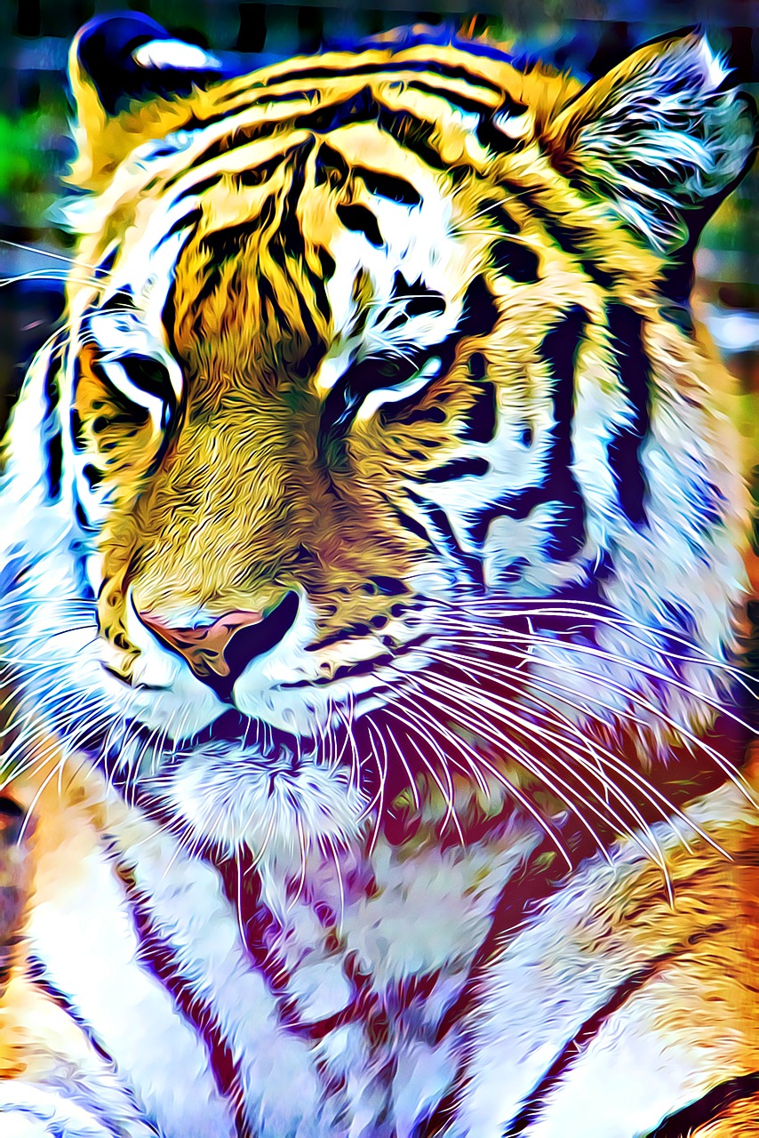 digital graphics tiger free photo