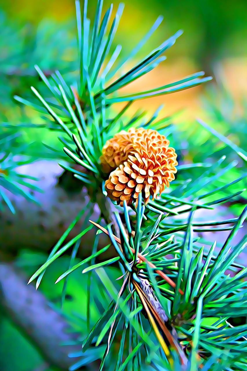 digital graphics pine free photo