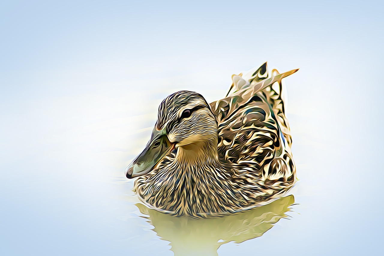 digital graphics duck free photo