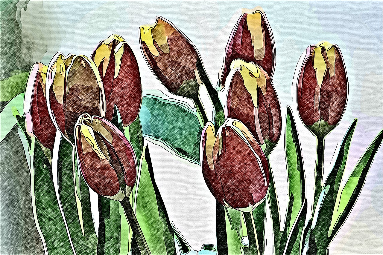 digital graphics tulip free photo