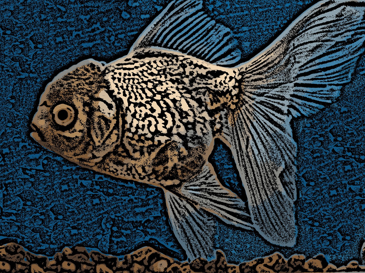 digital art fish goldfish free photo