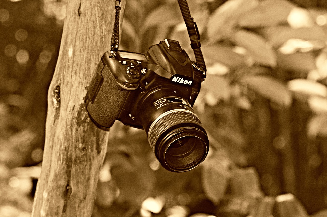 digital camera  photography  technology free photo